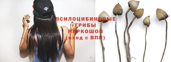 трава Арсеньев