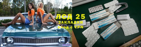 трава Арсеньев