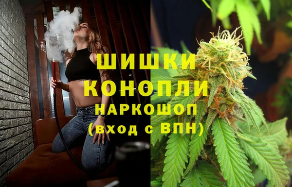 крисы Аркадак