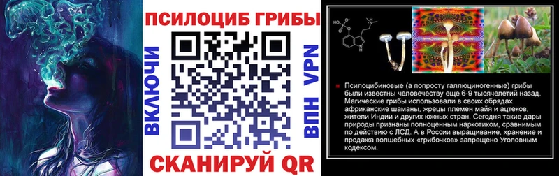где купить наркоту  Зубцов  Галлюциногенные грибы мухоморы 